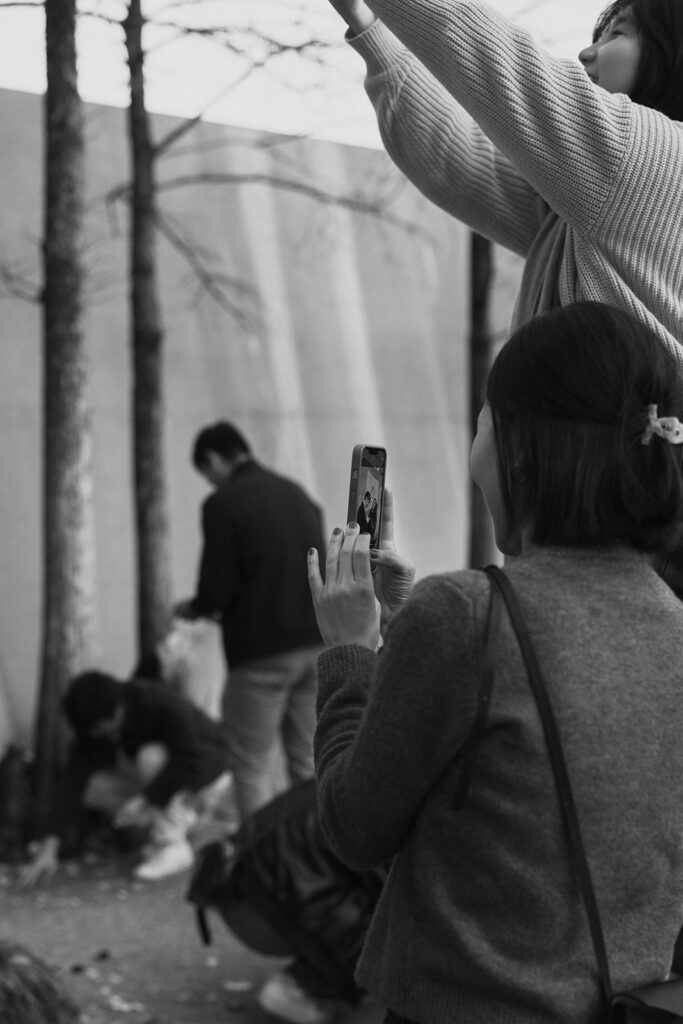 documentary style proposal photos