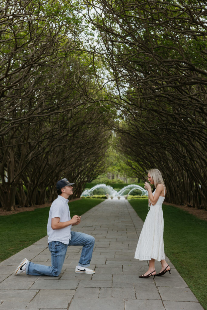 A man proposing to his girlfriend during their Dallas Arboretum and Botanical Garden proposal.