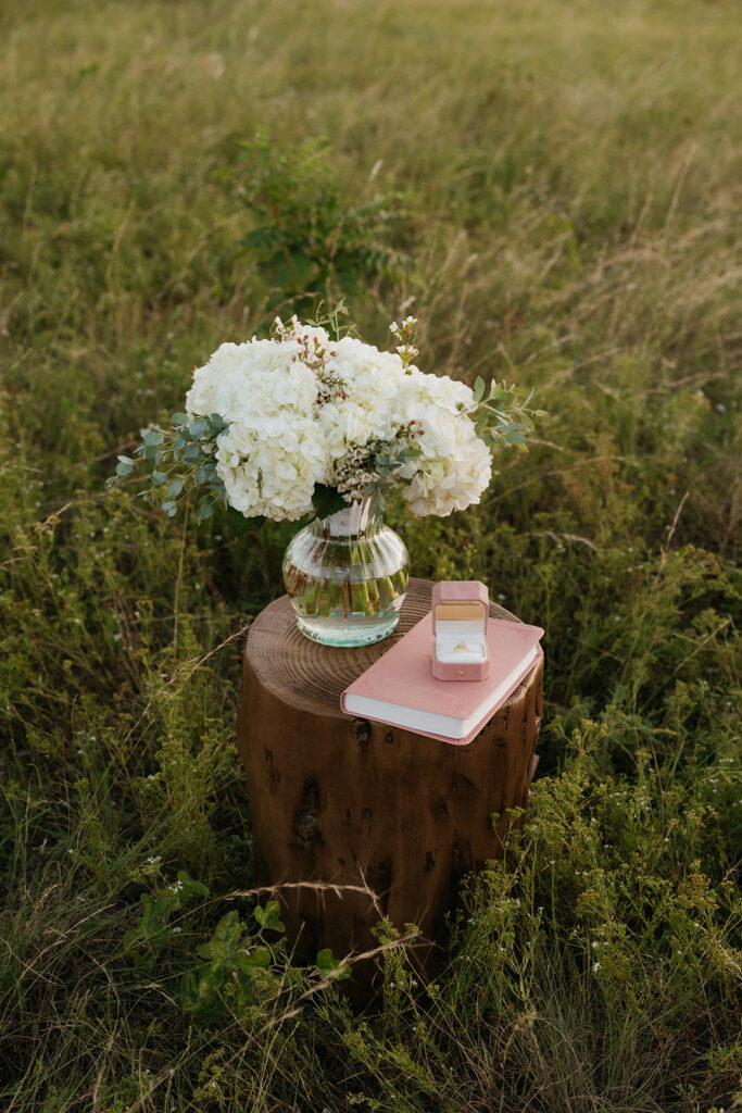 Thoughtful outdoor proposal ideas of a Bible and ring box.