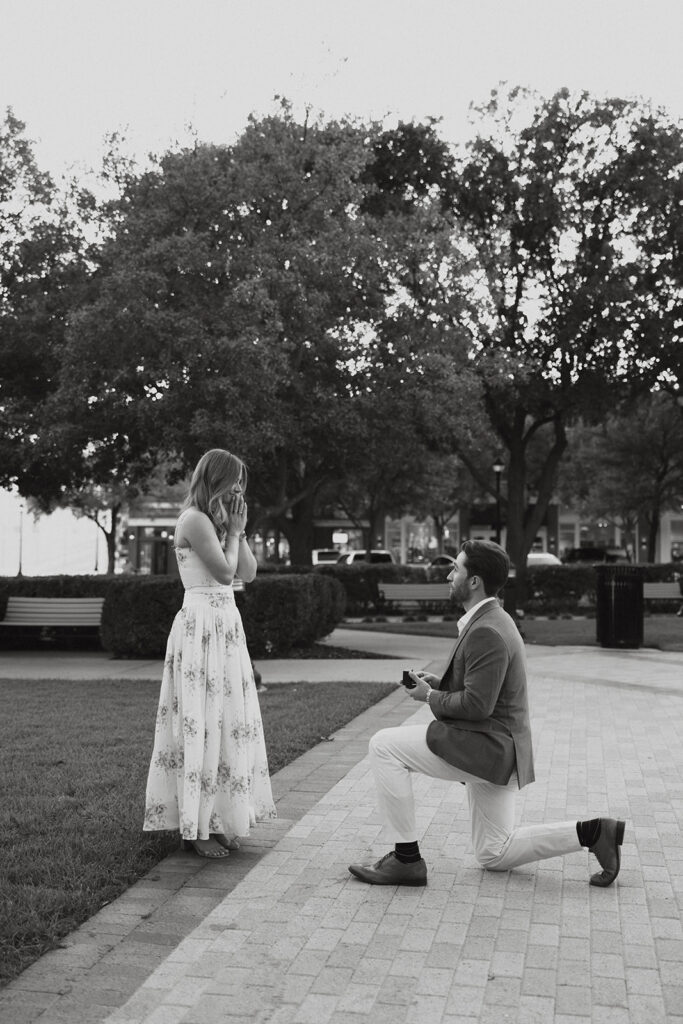 Surprise proposal ideas in DFW.