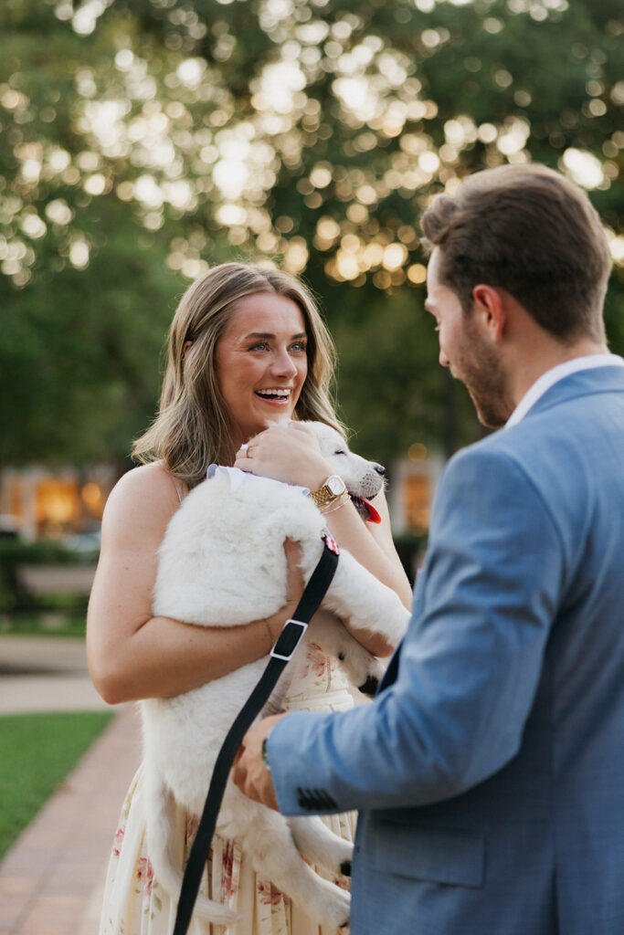 Woman in shock while holding a puppy during their surprise proposal. 