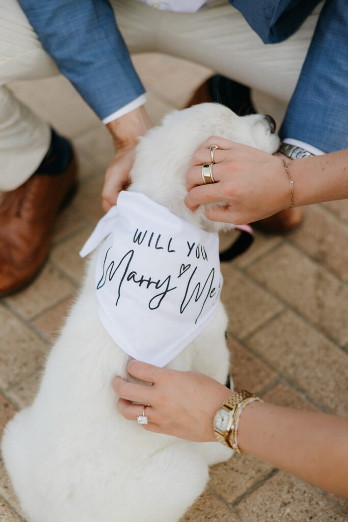 Couple petting a puppy.