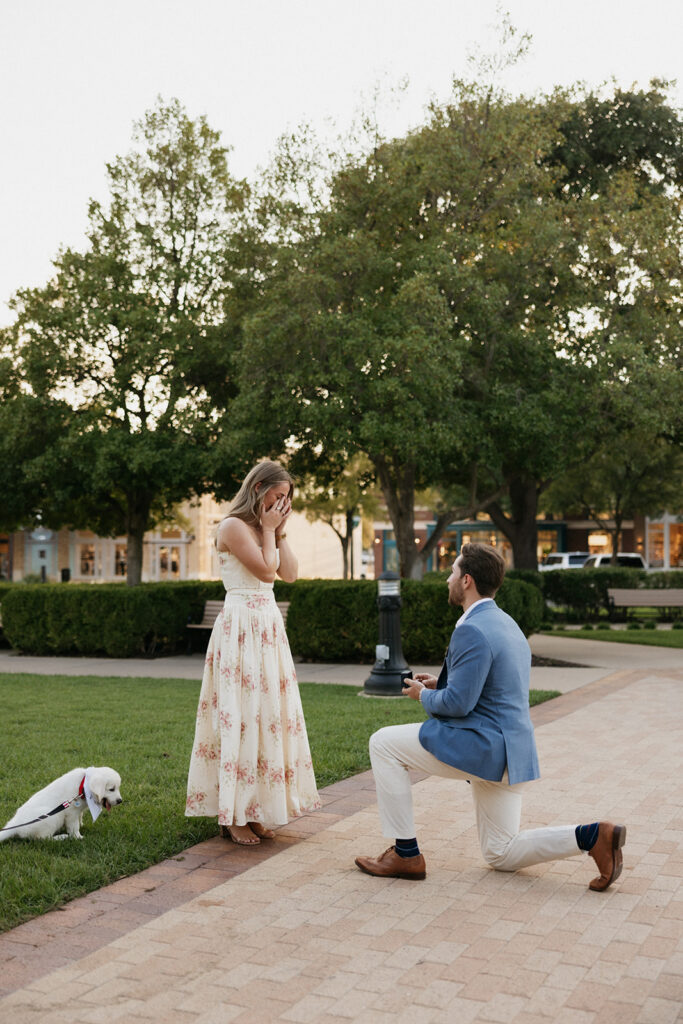 Surprise proposal ideas with a puppy.